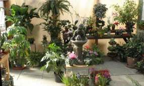 Houseplant Greenhouse at Cheshire Nursery garden center in Cheshire, Connecticut